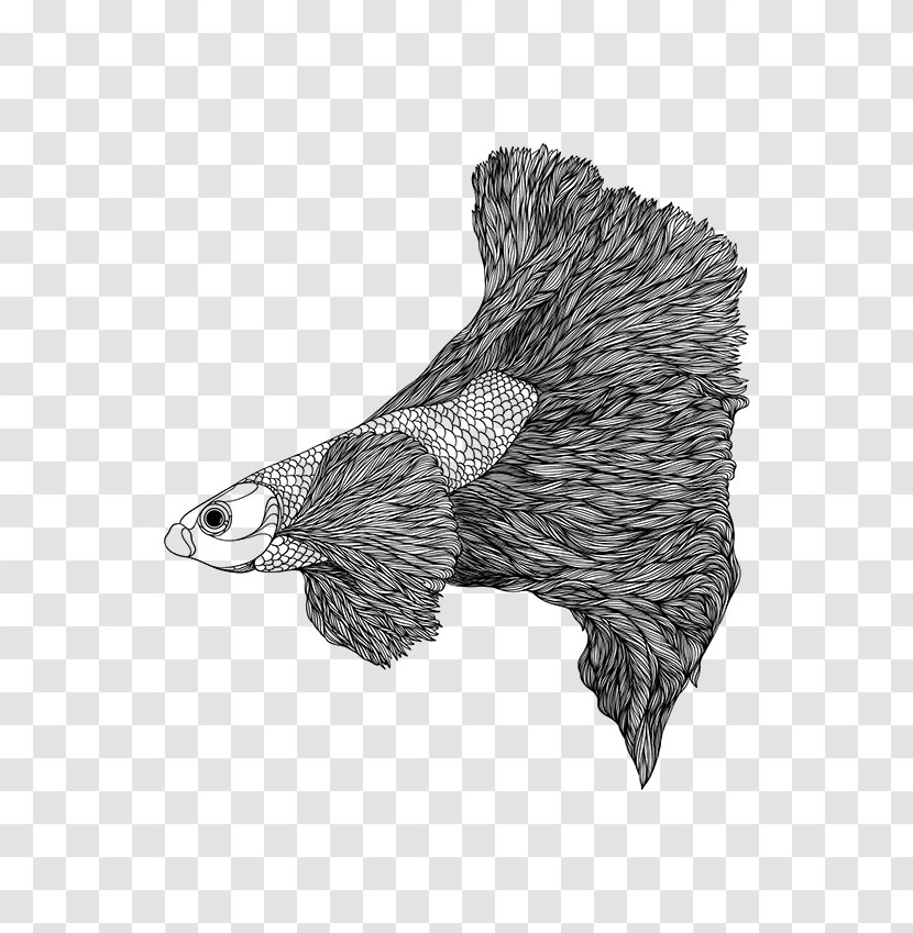 Eagle Hedgehog Drawing Porcupine /m/02csf - Chicken - Siamese Fighting Fish Transparent PNG