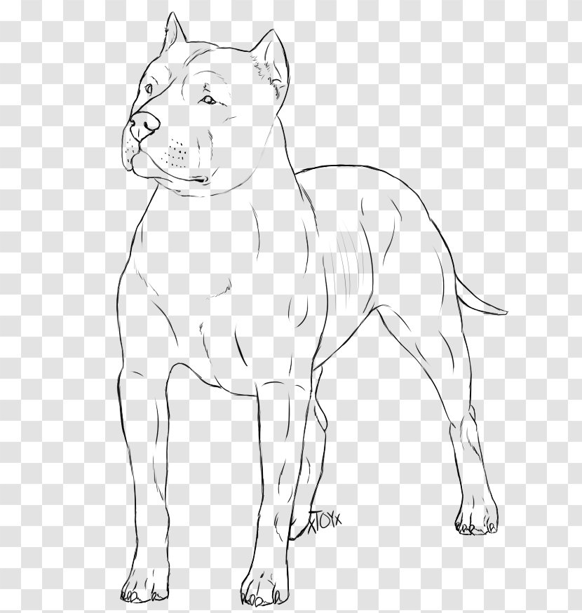 American Pit Bull Terrier Bulldog Line Art Drawing - Pitbull Transparent PNG