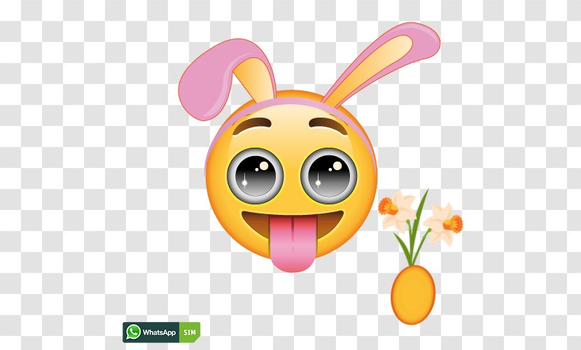 Smiley Emoticon Emoji Online Chat Wink - Snout Transparent PNG