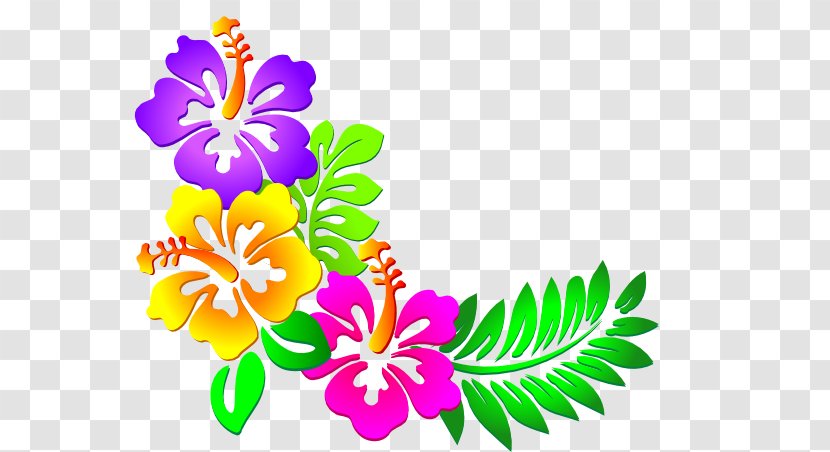 Hawaii Flower Clip Art - Line - Hibiscus Cartoon Transparent PNG
