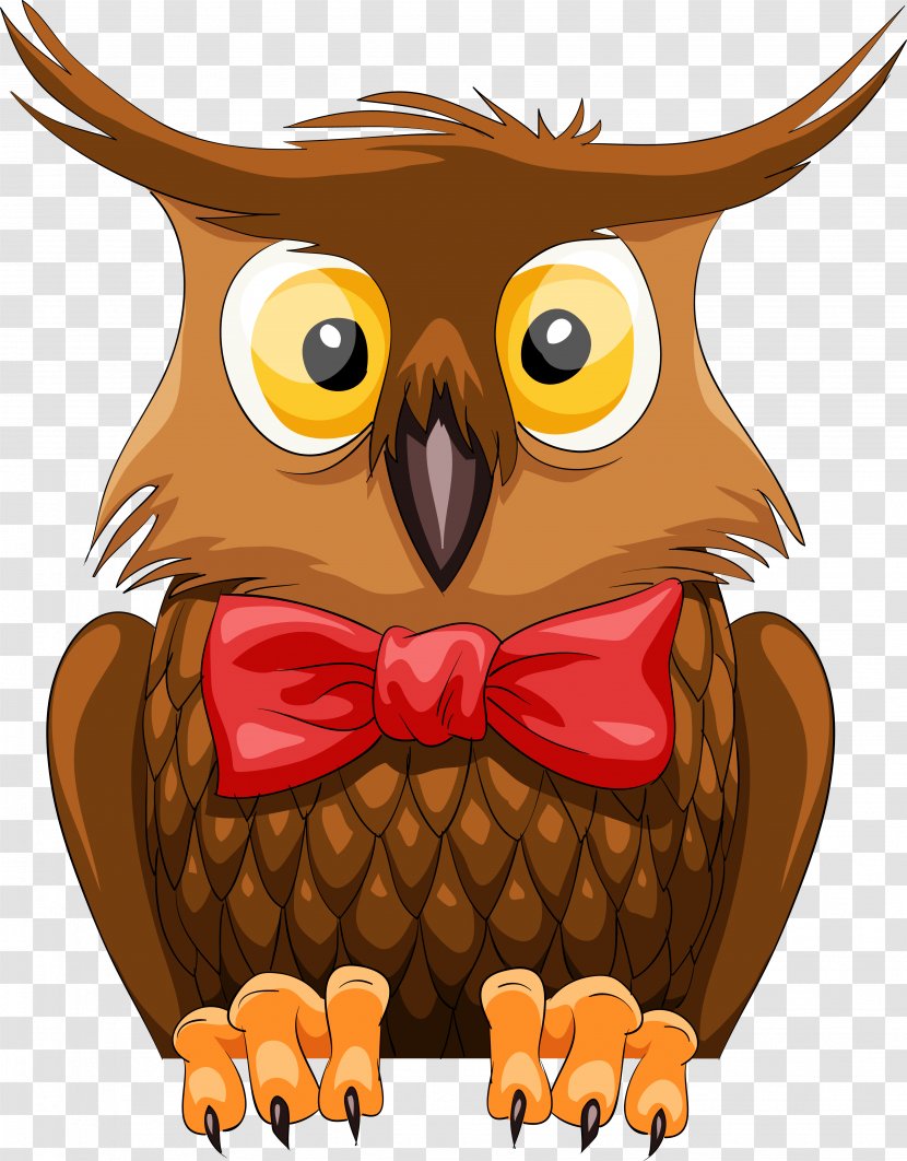 Owl Cartoon Stock Photography - Owls Transparent PNG
