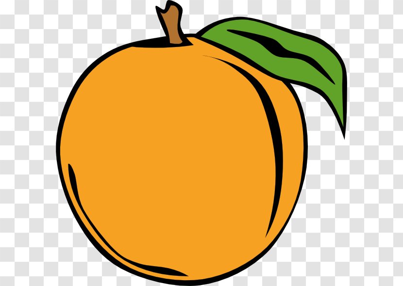 Peach Cobbler Clip Art - Royaltyfree - Orange Cliparts Transparent PNG