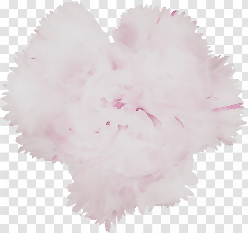 Pink M RTV - Rtv Transparent PNG