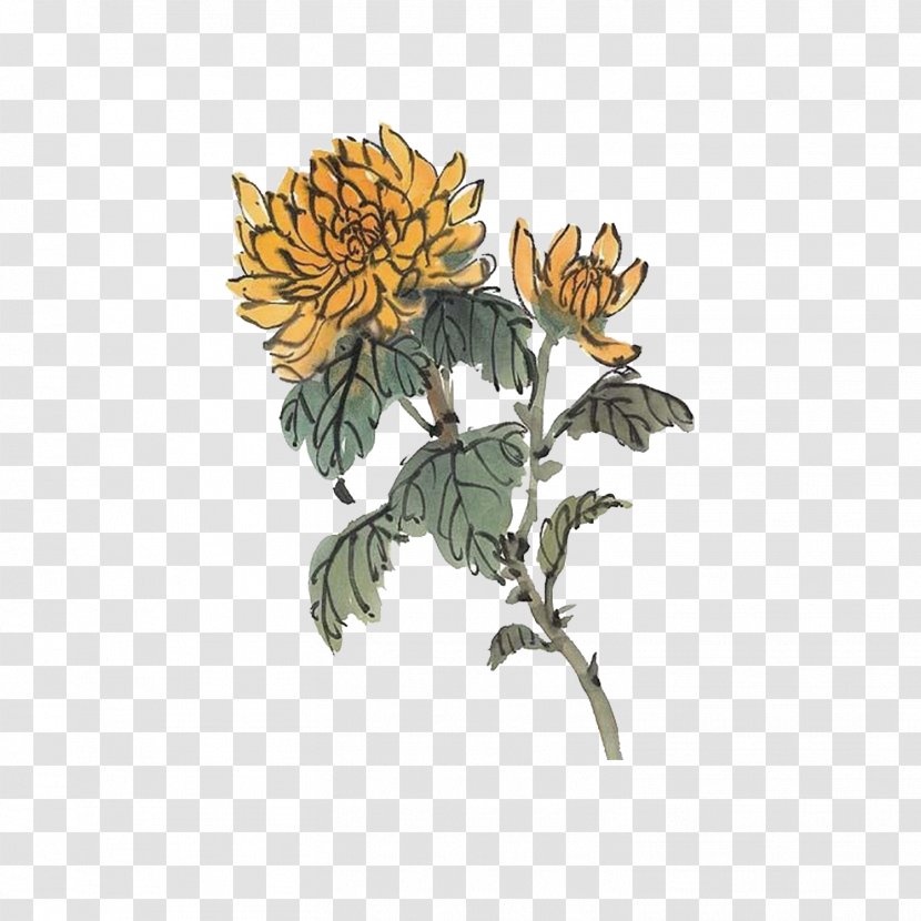 Chrysanthemum Watercolor Painting Ink Wash - Sunflower - Material Transparent PNG