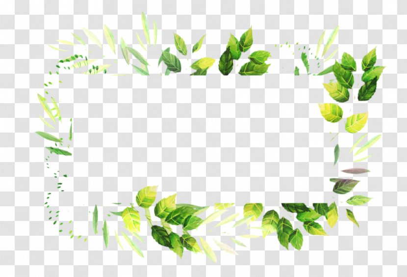 Floral Flower Background - Perennial Plant Transparent PNG