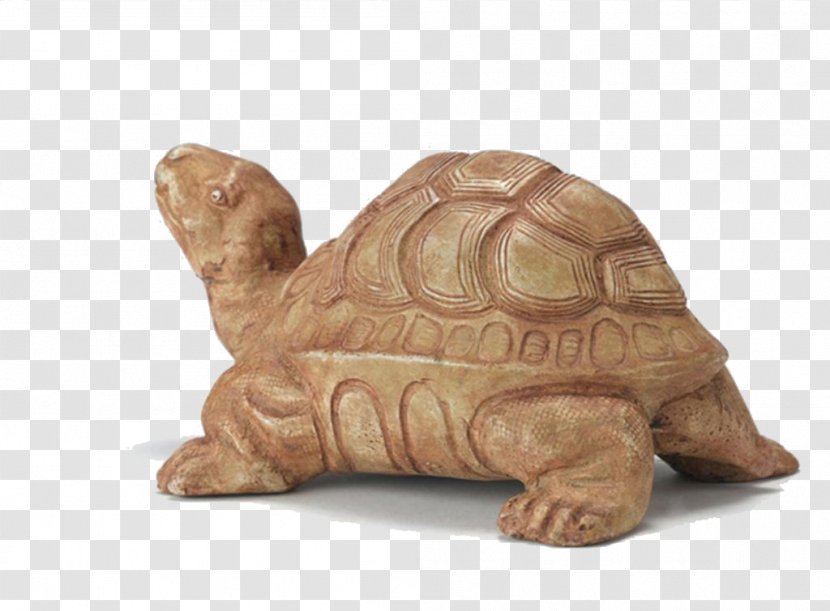 Box Turtle Tortoise - Information - Stone Carvings Upward Crawling Transparent PNG