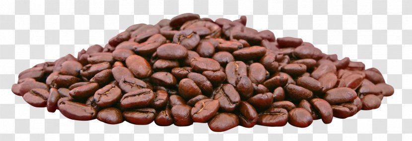 Coffee Bean Espresso Cafe - Peanut - Beans Transparent PNG