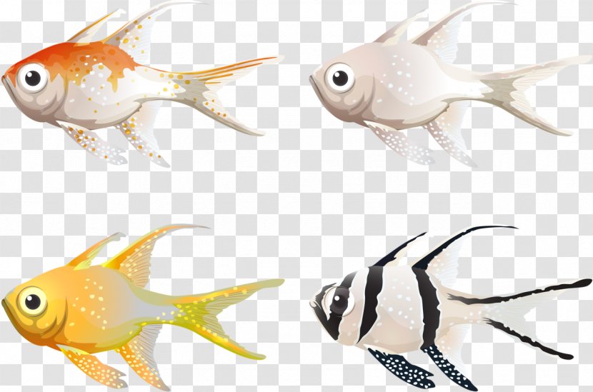 Drawing Clip Art - Seafood - Nature Sea Animals Seal Transparent PNG