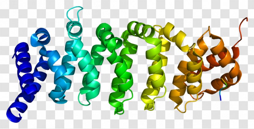 Calcium-binding Protein Gene Threonine - Frame - Watercolor Transparent PNG