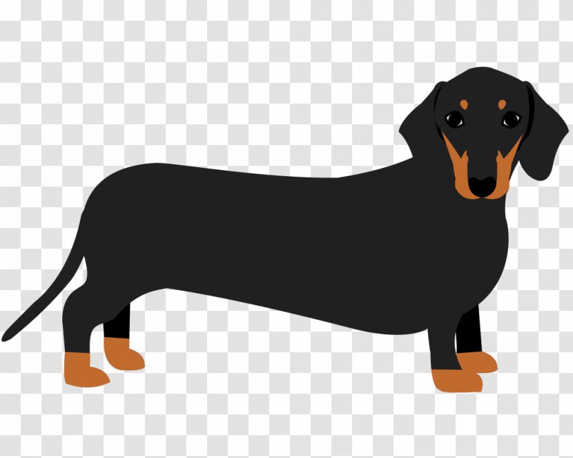 Dachshund Puppy Dog Breed Mug Sophisticated Pup Transparent PNG