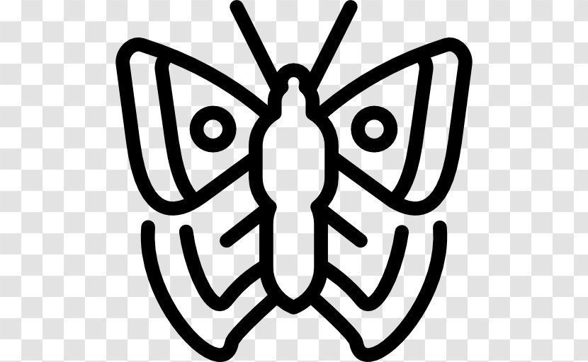 Butterfly Insect Moth Transparent PNG