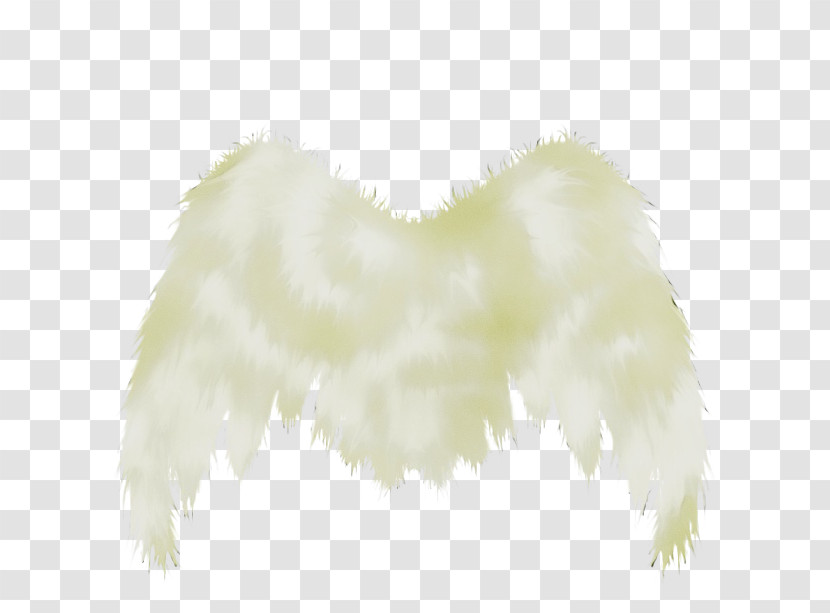 Feather Transparent PNG