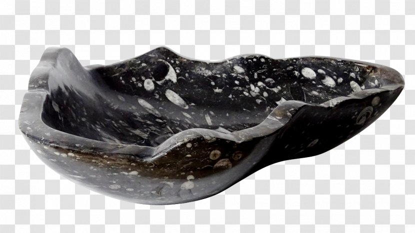 Orthoceras Fossil Marble Goniatite Morocco - Vasqueimportcom - Marmer Transparent PNG