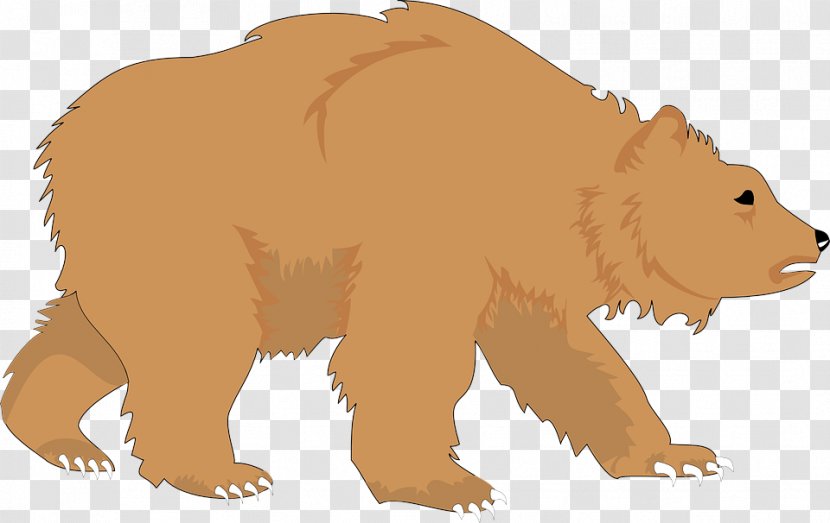 Bear Brown Grizzly Animal Figure Terrestrial - Wildlife Snout Transparent PNG