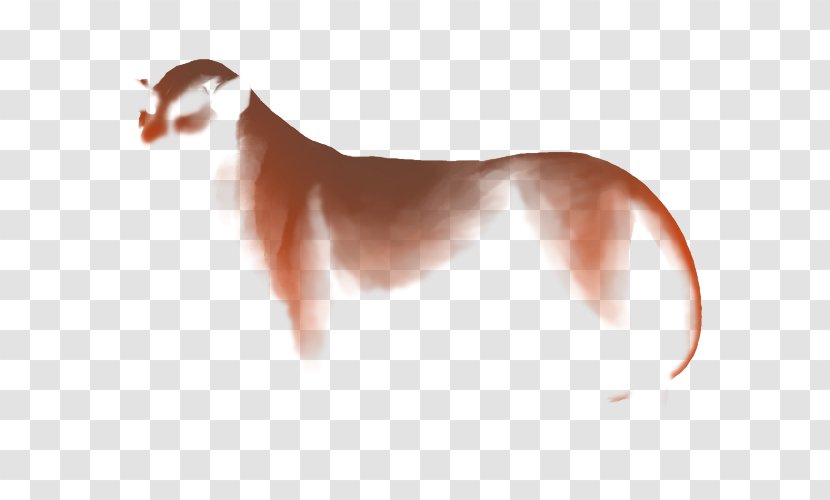 Dog Breed Italian Greyhound Puppy Skin Transparent PNG