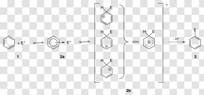 Substitution Reaction Chemical Electrophile Chemistry Electrophilic - Frame - Tree Transparent PNG