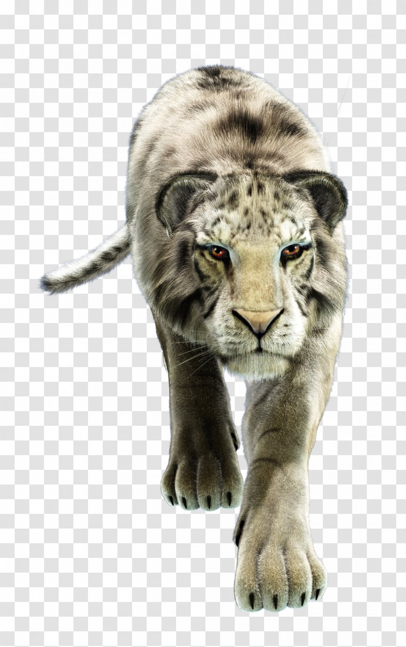 White Tiger Whiskers Horse Wildlife - Animal Transparent PNG