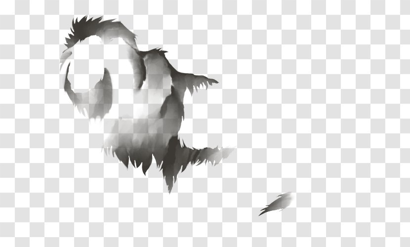 Bald Eagle Drawing Bird Beak Feather - Lion Mane Transparent PNG
