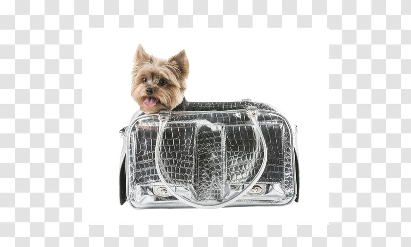 Yorkshire Terrier Cairn Australian Silky Pet Carrier Puppy - Breed Transparent PNG