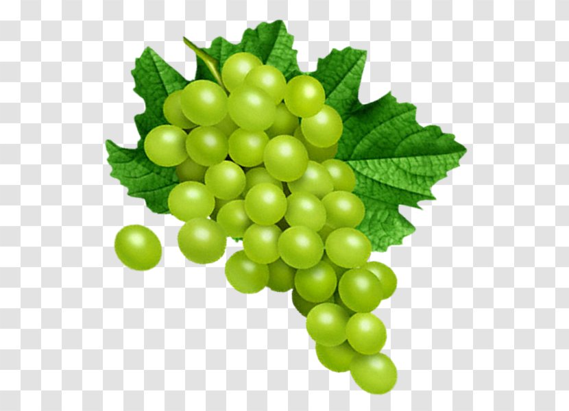 Grape Clip Art - Seed Extract Transparent PNG