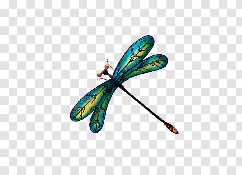 Insect Dragonfly Turquoise Transparent PNG