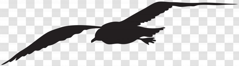 Gulls Silhouette Bird Clip Art - Beak - Seagull Transparent PNG
