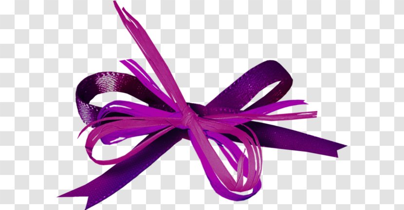 Ribbon - Bow Tie - Purple Transparent PNG