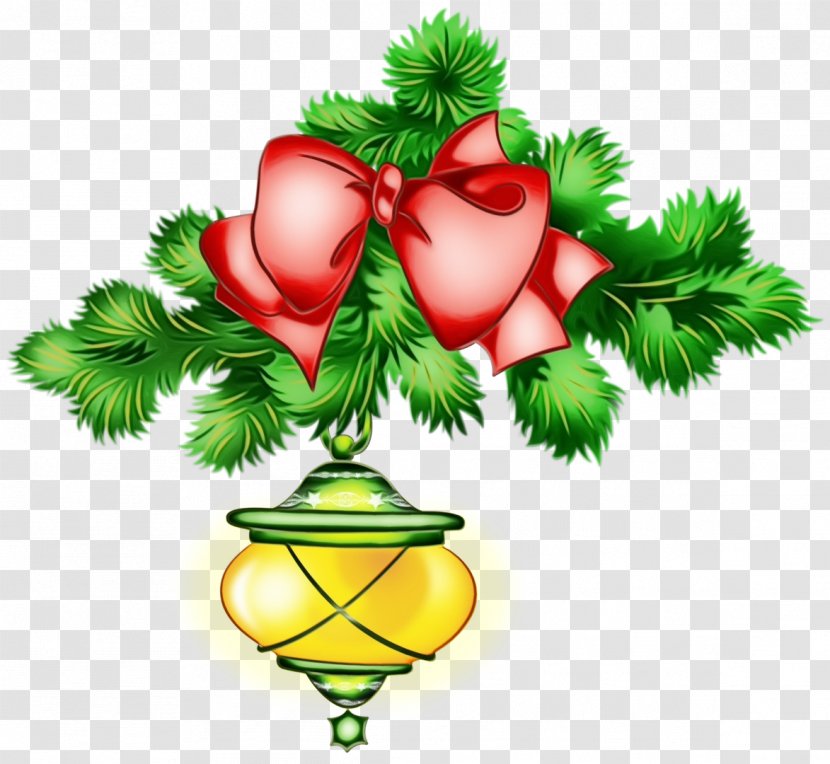 Christmas Decoration - Pine Family - Tree Transparent PNG