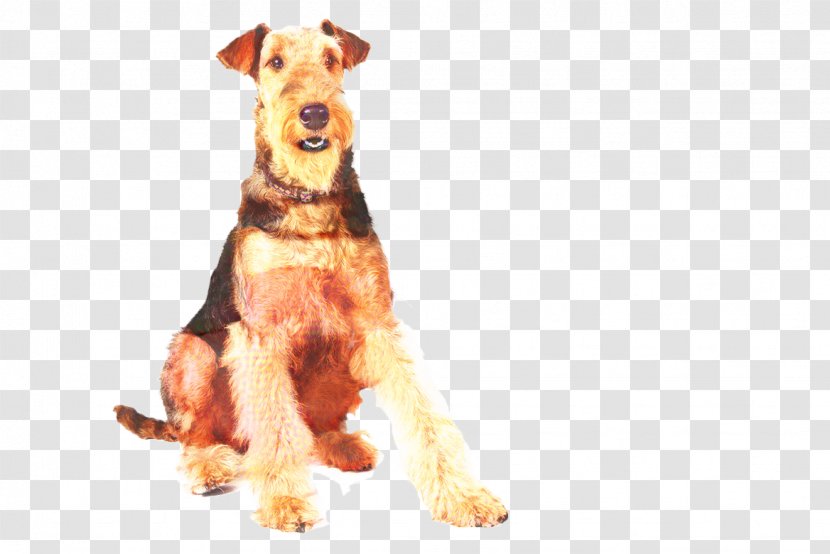 Cartoon People - Irish Terrier - Fox Fawn Transparent PNG