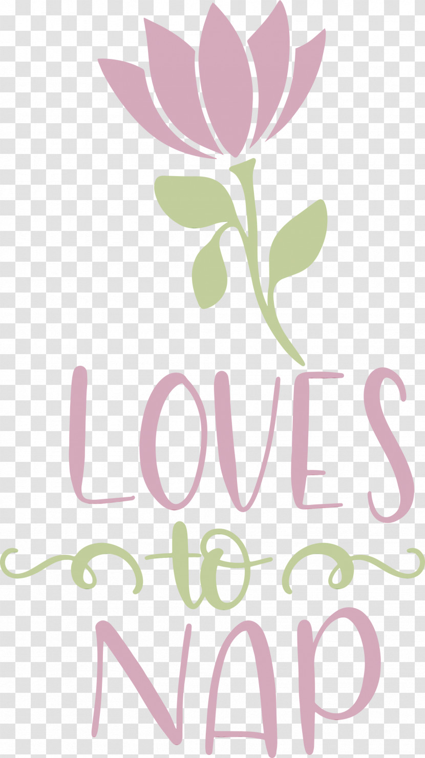 Floral Design Transparent PNG