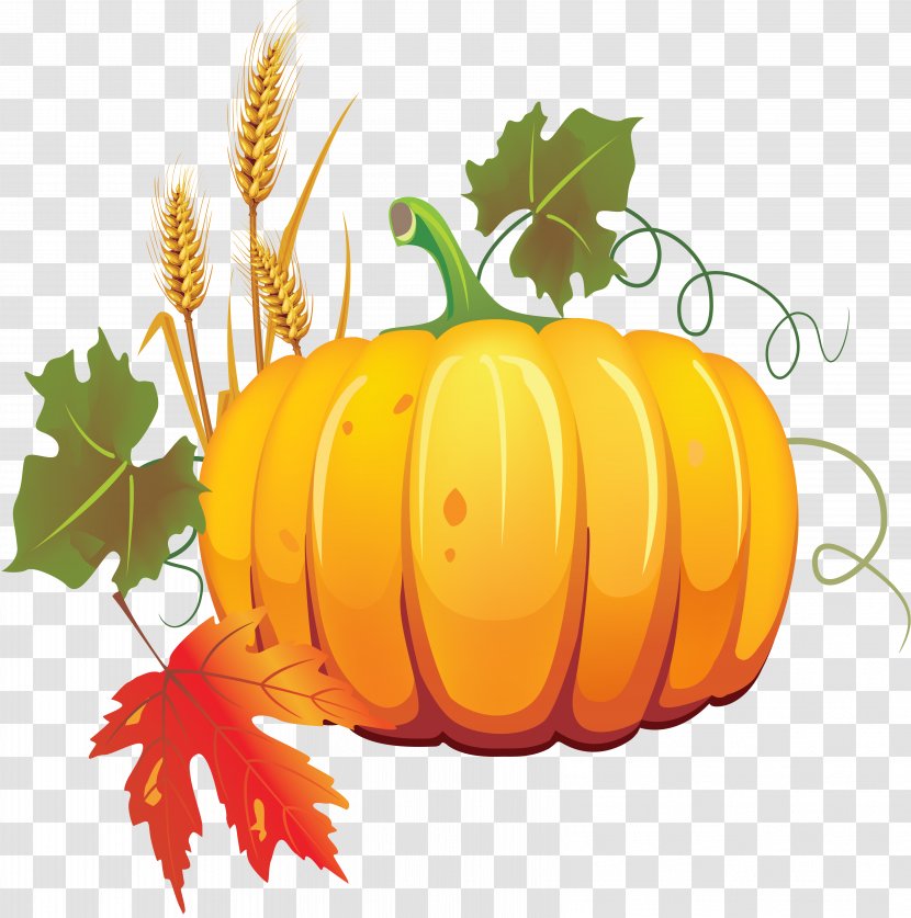 Pumpkin Autumn Vegetable Vegetarian Cuisine Clip Art - Winter Squash Transparent PNG