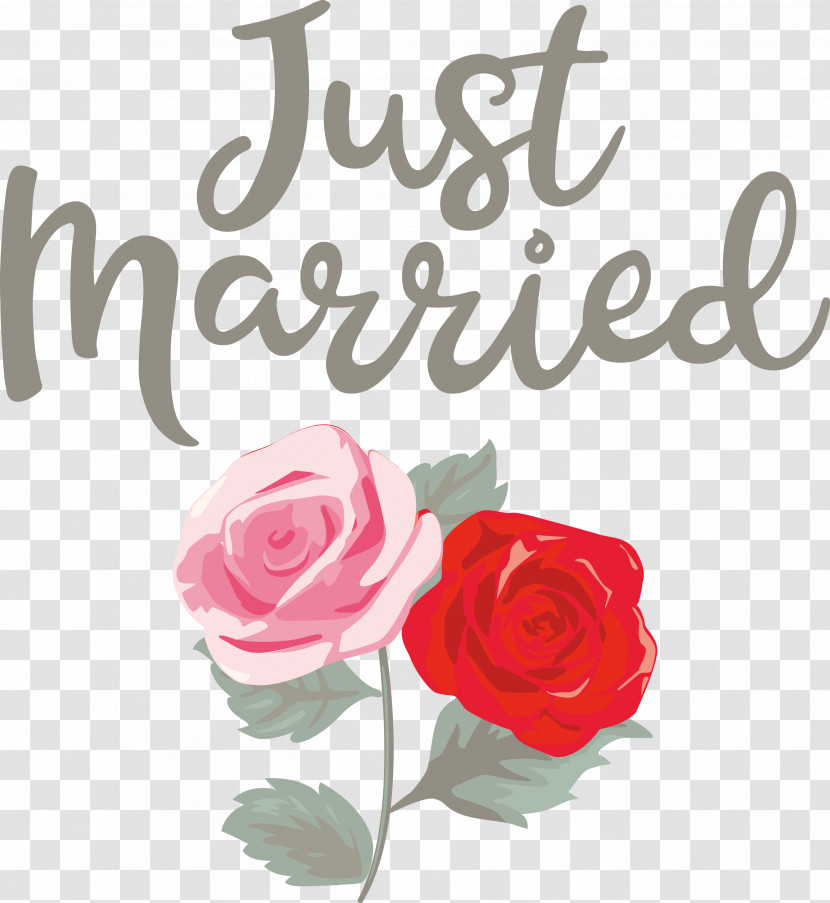 Just Married Wedding Transparent PNG