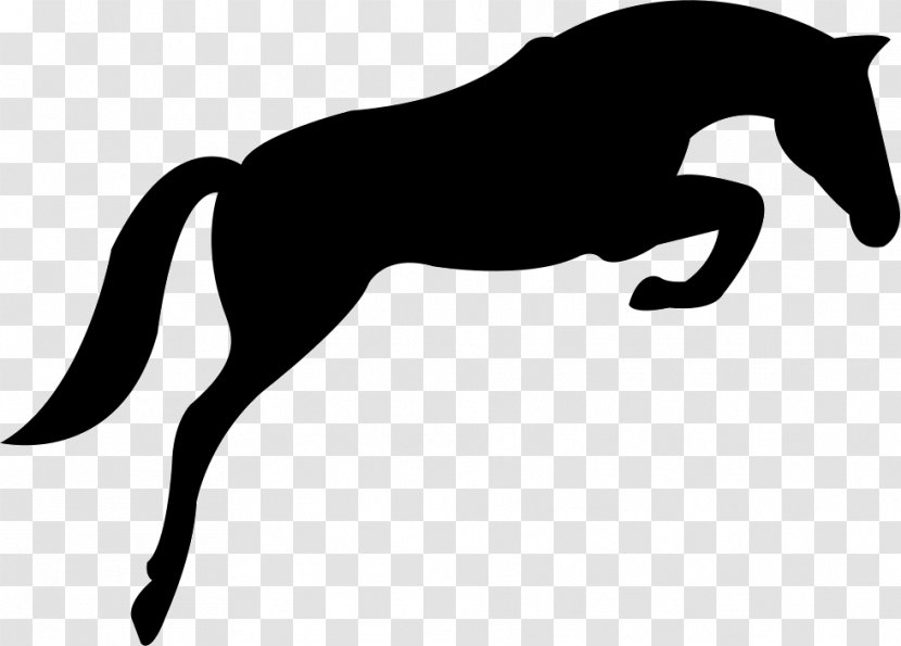 Dutch Warmblood Show Jumping Equestrian Clip Art - Free Transparent PNG