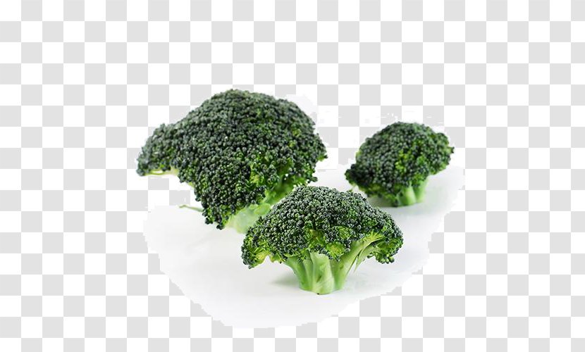 Organic Broccoli - Frame - Cartoon Transparent PNG