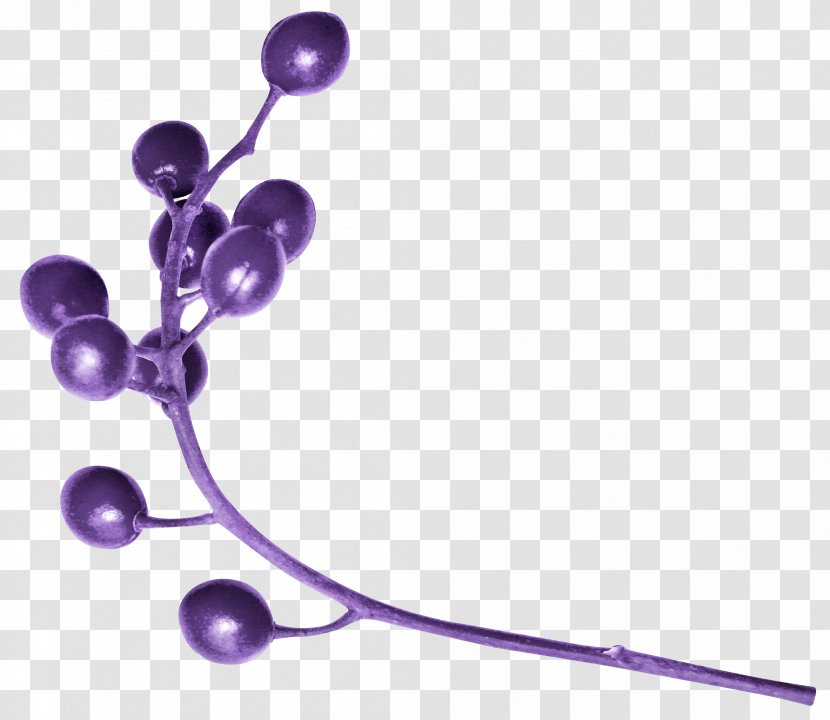 Lilac Lavender Violet Purple - Berries Transparent PNG