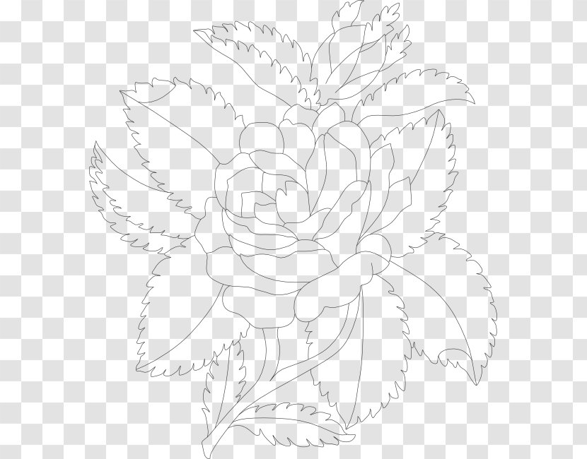 Drawing Visual Arts Floral Design - Symmetry - Illustration Flowers Transparent PNG