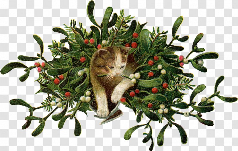 Cat Mistletoe Christmas Day Clip Art Wreath - Holly - Serene Banner Transparent PNG