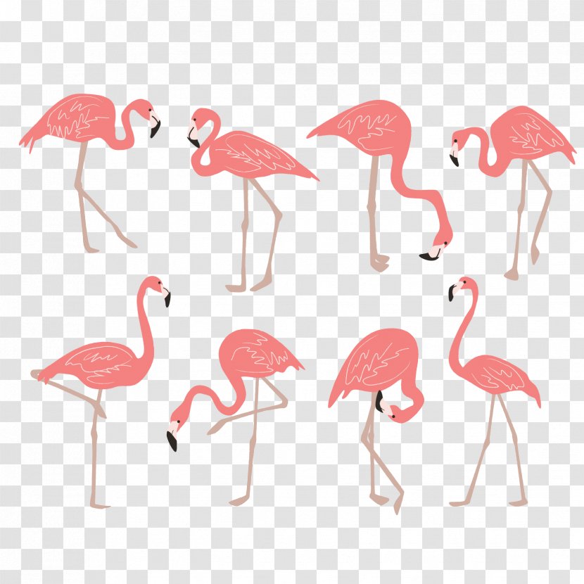 Flamingo Drawing Clip Art - Vector Pink Transparent PNG