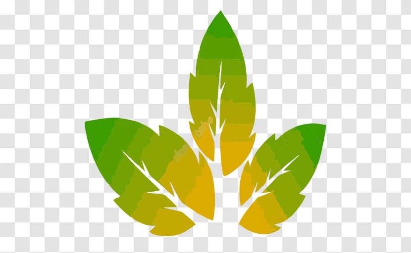 Leaf Clip Art Cannabis Tree Paper - Green Transparent PNG