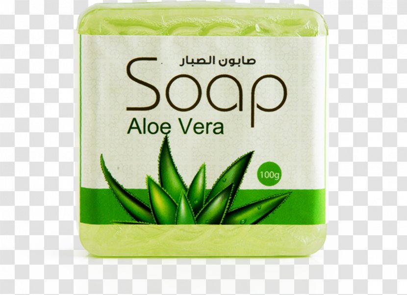 Aloe Vera Skin Care Lotion Product Cosmetics - Drawing Transparent PNG