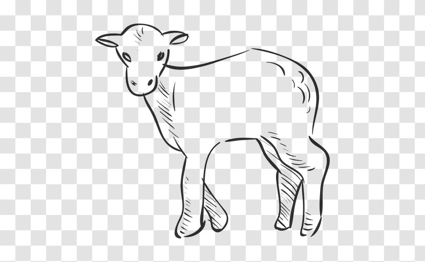 Sheep Goat Clip Art - Animal Transparent PNG