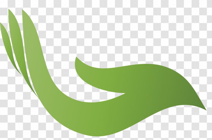 Logo Leaf Font Product Design - Grass - Pilipino Flag Transparent PNG