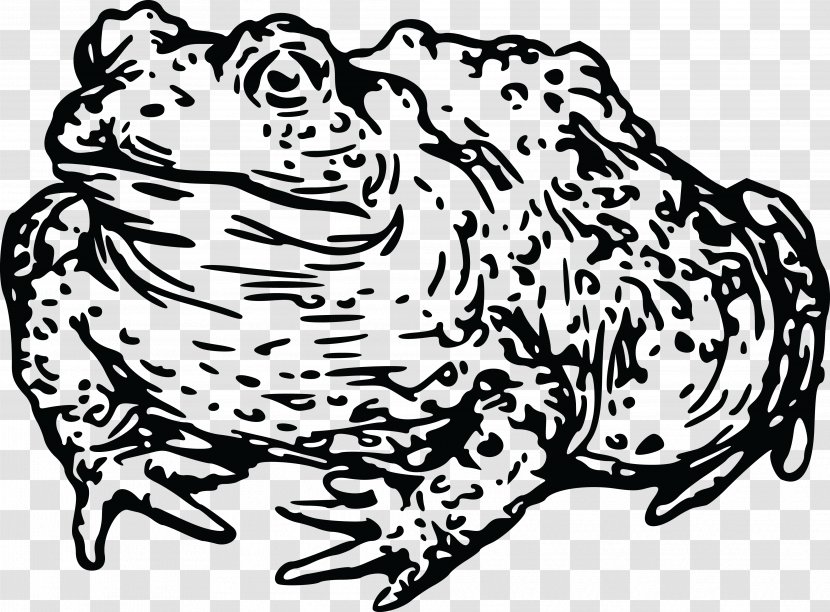 Frog Toad Amphibian Tadpole Clip Art - Heart Transparent PNG