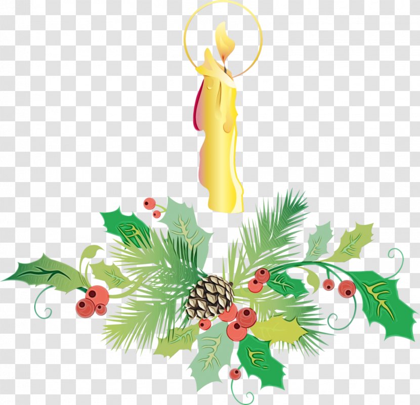 Christmas Ornament - Ornaments - Colorado Spruce Tree Transparent PNG