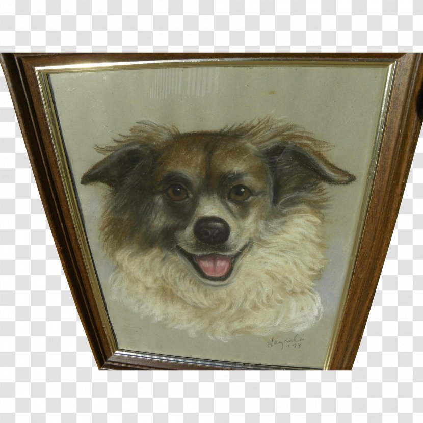 Tibetan Spaniel Pomeranian Puppy Dog Breed Companion - Group Transparent PNG