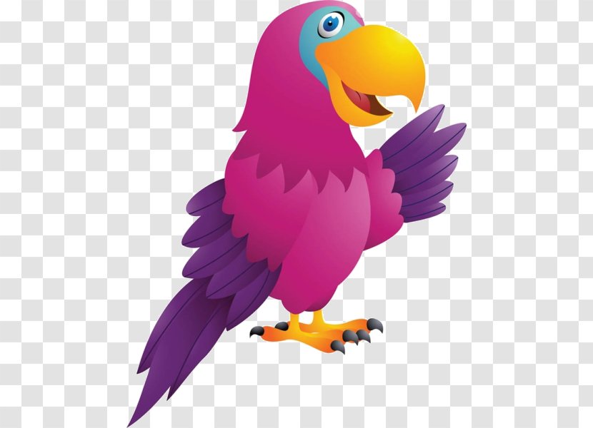 True Parrot Bird Cockatoo Cartoon Clip Art - Of Prey - Material Transparent PNG