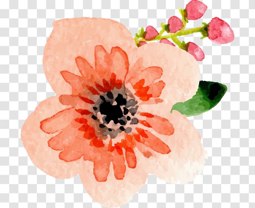 Watercolor Painting Sticker Paper Planning Petal - Pressed Flowers Transparent PNG