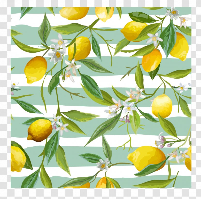 Lemon Flower Stock Photography Leaf - Citron - Fresh Transparent PNG