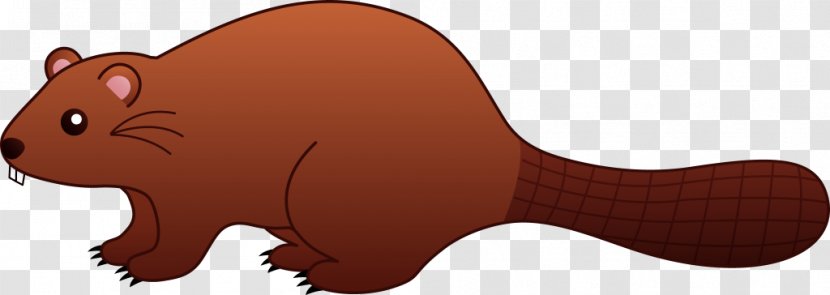 Beaver Clip Art - Cat Like Mammal Transparent PNG