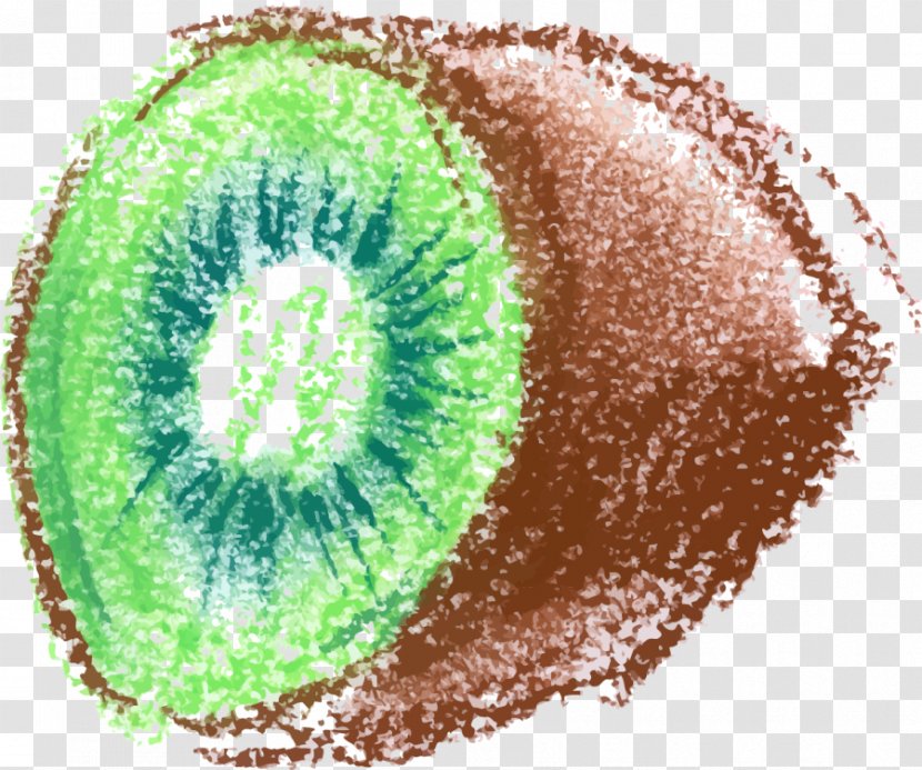 Kiwifruit Juice Watercolor Painting - Google Images - Hand Painted Green Kiwi Transparent PNG